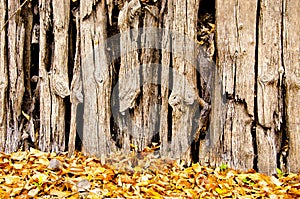 Old river warf fragment