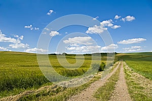 Old road in French countryside photo