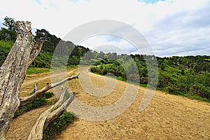 The Old A3 Road Devils Punch bowl,  uk