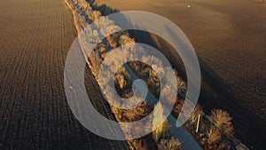 Old road trees shadow between plowed agricultural fields black soil sunny autumn