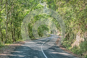 Old road via Bloukrans Pass