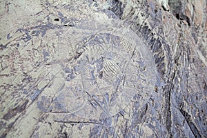 Old rock carvings of an ancient man on rocks in Siberia.