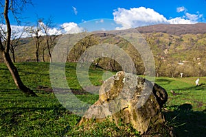Old rockwith moss in green hill with trees