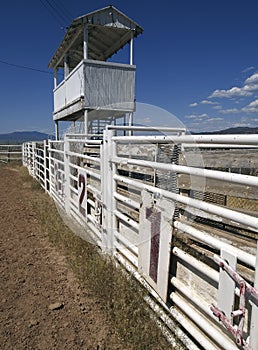 Old Rodeo Gates