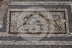 Old roman mosaic floor in Kos city