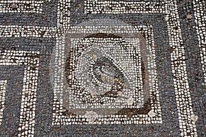 Old roman mosaic floor in Kos city