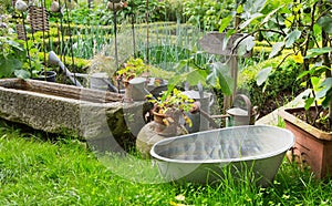 Old romantic farm garden in the summer.