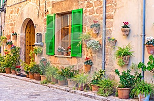 Old romantic house with potted flowers and plants