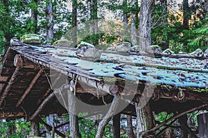 An old Bootlegger\'s hideout shack up in the mountains photo