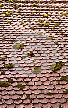 Old roof, partly covered with moss