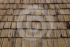 Old Roof Texture