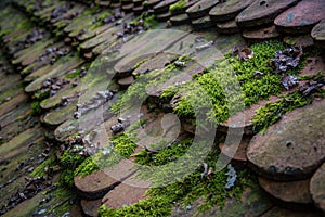 Old roof tiles