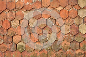 Old roof tiles photo