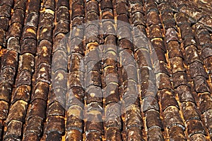 Old roof tiles in historical city of Serro, Minas Gerais photo