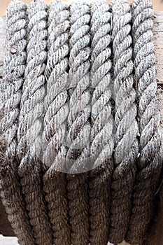 Old Rope for background