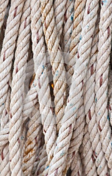 old rope close up