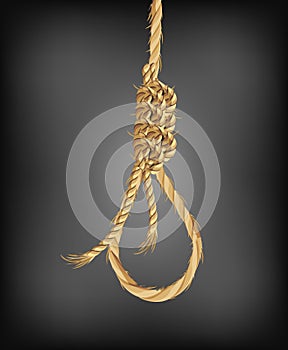 Old rope noose hangman
