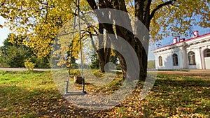 old rope swing in autumn park