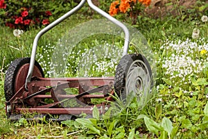 Old Rotary Lawnmower with Flowers