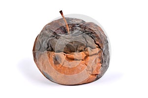 Old rotten apple on white background