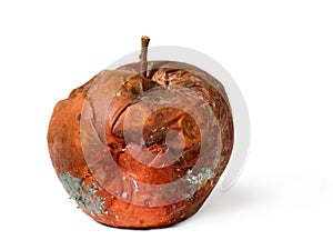 Old rotten apple on white isolated background