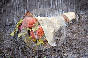 Old rotten bouquet of flowers and fruits lies on the ground in heavy rain