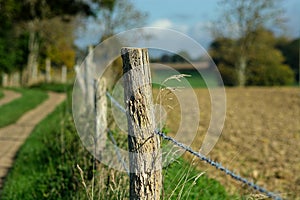 Old rotten fence post & barbed wire. Plowed, seeded agricultural field