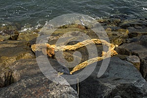 Old rotten hemp rope on the rocky shore.