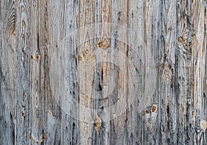 An old and rotten wooden fence. Old boards