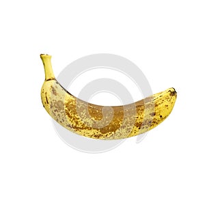 Old rotting banana isolated on white background