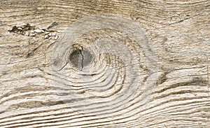 Old rotting dark plan