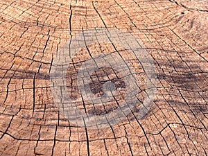 Old rough brown timber surface with darker scorch marks and cracks following the growth rings