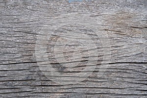 Old rough wood texture background
