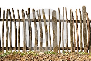 Old and rough wooden fence