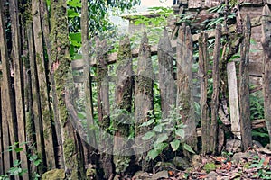 Old rough wooden fence