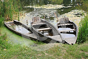 Old row boats