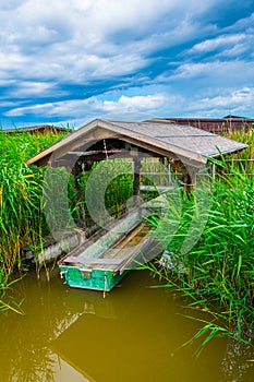 an old rowing boat hidden in reed of neusiedlersee lake in Austria....IMAGE