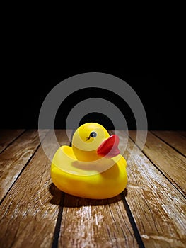 Old rubber duck with dark background