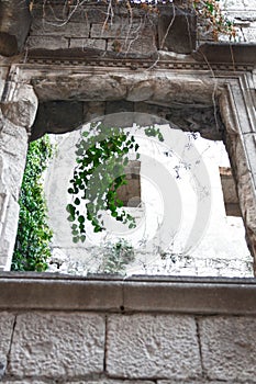 Old ruin window