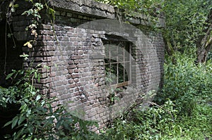 Old ruine in forest