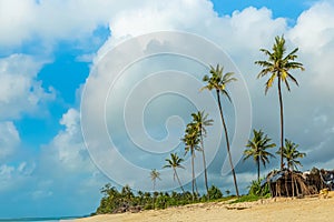 old ruined African huts with roofs of palm branches stand among the palm trees on the ocean