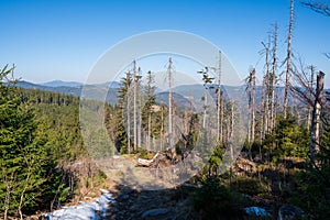 Old ruined forest on mountain top, Czech and slovakia border Velky Polom