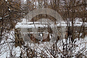 Old ruined house stands surrounded by bushes in winter