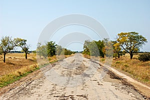 Old ruined road to the steppe. Auto road in Savannah