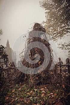 Old ruined stone cross tombstone overgrown in weed, ivy plant covered in fall, autumn mystic fog