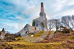 Old Ruined Tin Mine,