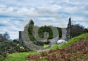 Old Ruined Tin Mine,