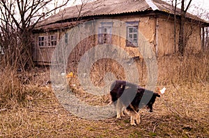 Old ruined village house. Window frame, broken glass, peeling paint.