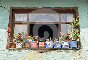 Old ruined window and flowers