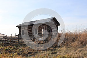 An old ruined wooden house in an abandoned village overgrown with dry grass in autumn